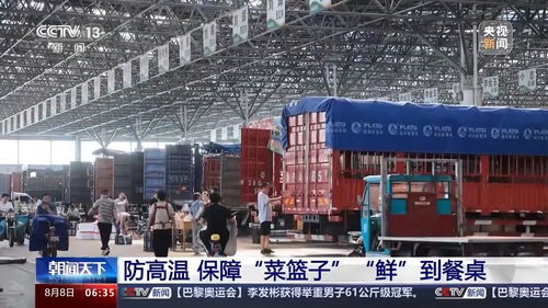 生產穩定供給充足 看各地如何拎穩菜籃子與畜牧漁業飼料銷售